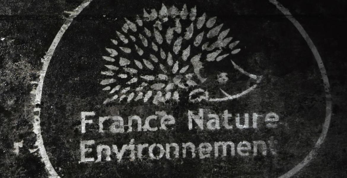 Clean-Tag : Le hérisson Clean-tag FNE