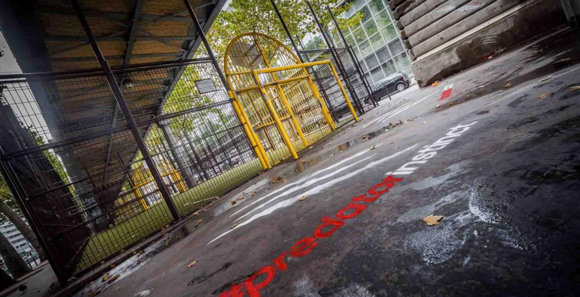 Opération tempo tag Predator Instinct Opération tempo tag Predator Instinct